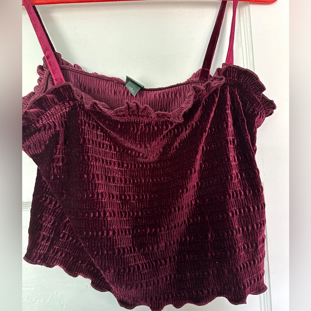 Wild fable cropped velvet tank top